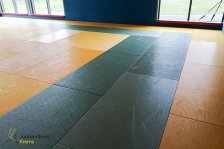 18.04.-18.06.2021 Sanierung Dojo